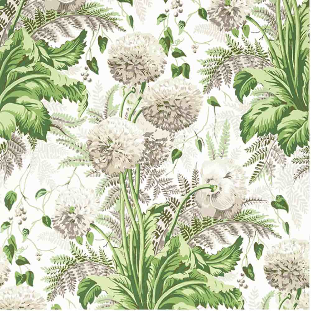 Anna French Dahlia Wallpaper in Spring on White